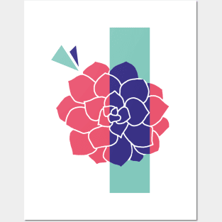 succulents Posters and Art